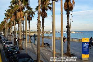 Calella Reveillon 105
